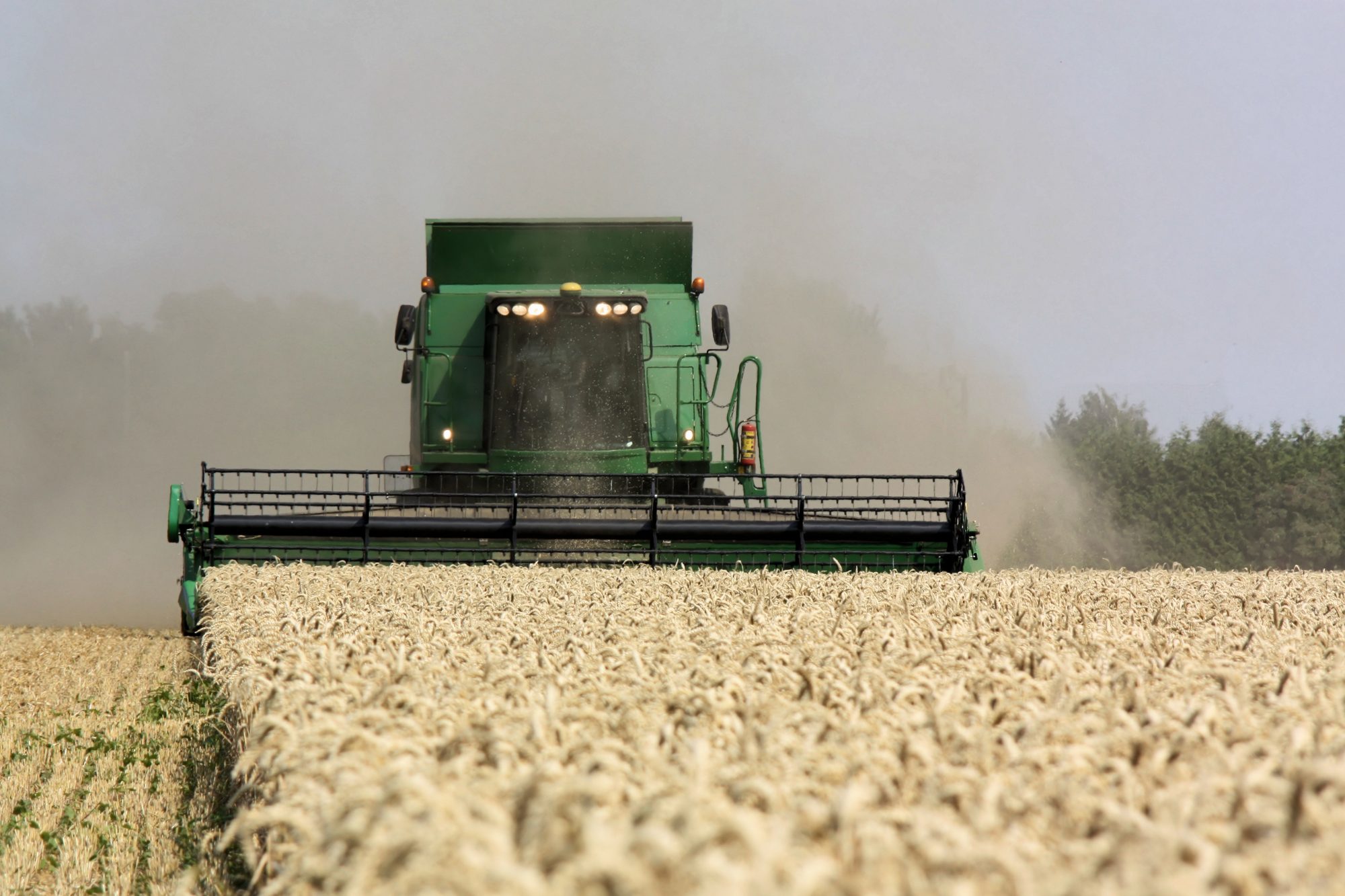 Más de 30 años de historia agroindustrial